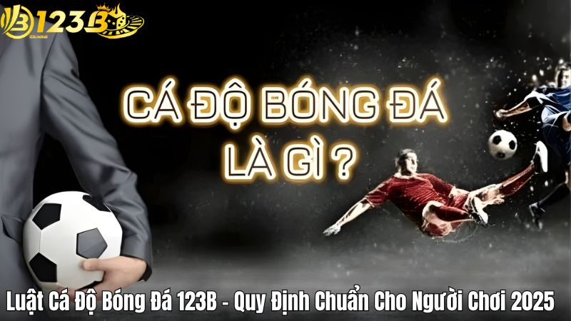 Luật Cá Độ Bóng Đá 123B – Quy Định Chuẩn Cho Người Chơi 2025 Luật Cá Độ Bóng Đá 123B – Quy Định Chuẩn Cho Người Chơi 2025